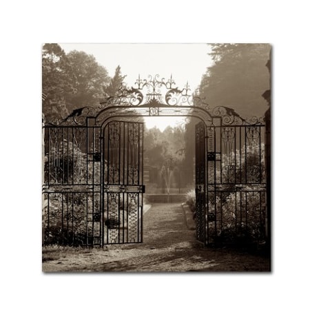 Alan Blaustein 'Hampton Gates III' Canvas Art,14x14